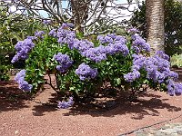 foto 248